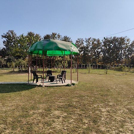 Nature Homestay Varanasi Ngoại thất bức ảnh