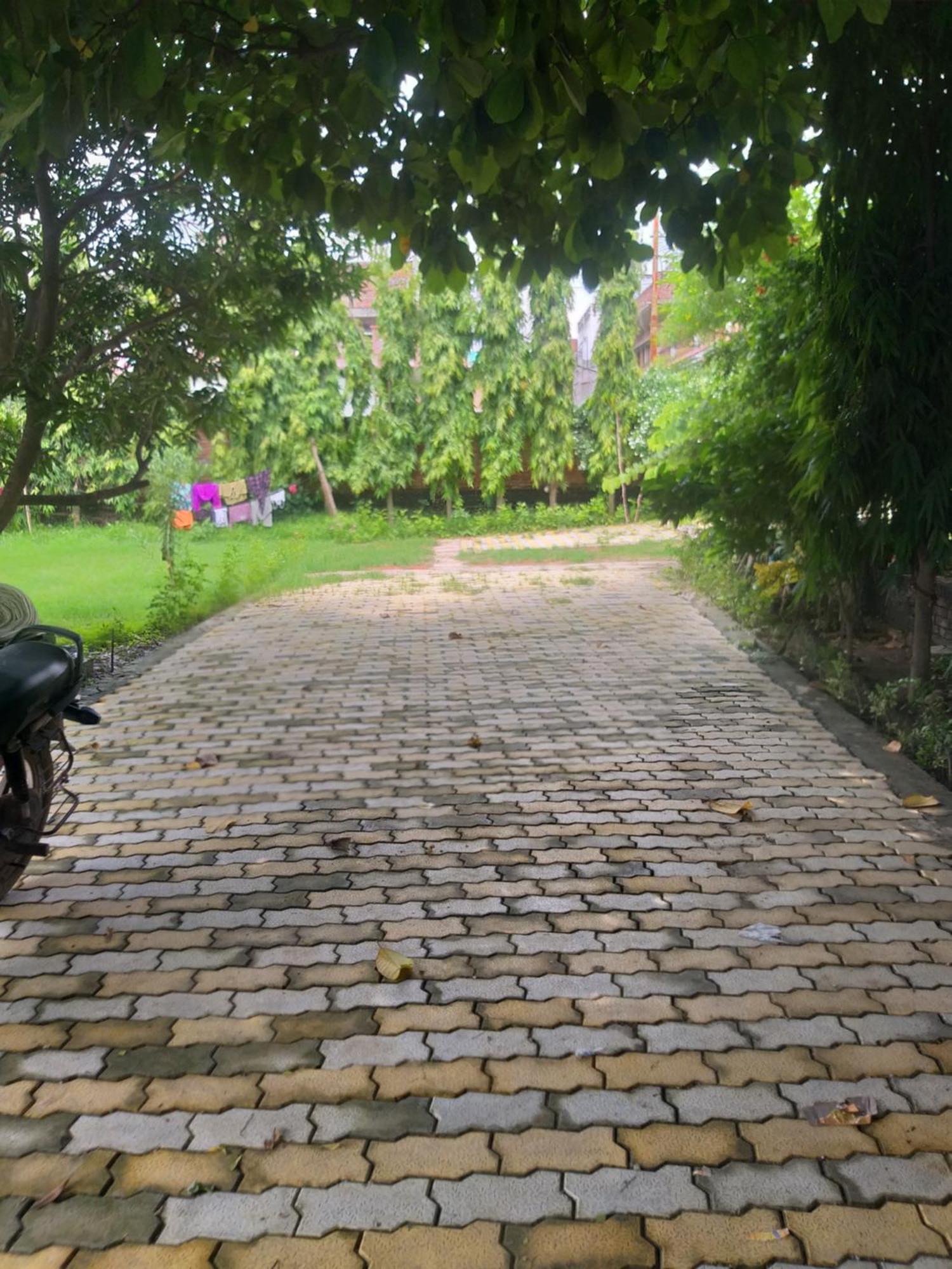 Nature Homestay Varanasi Ngoại thất bức ảnh